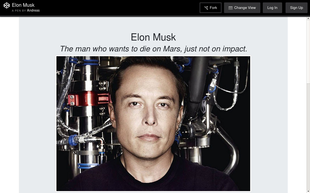 Elon Musk Tribute